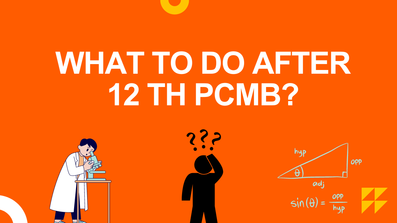 Exploring Career Fields After Completing 12th with PCMB Group